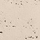 Travertina-Wall-Raw-Ivory-9044(1)