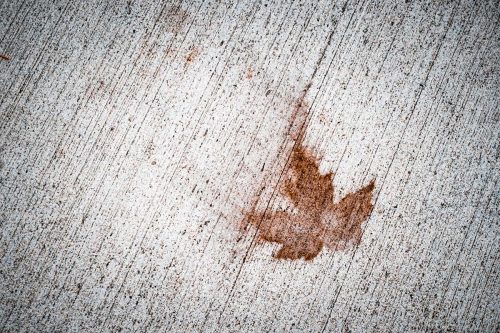 Leaf-Stain-on-Concretet Removing leaf and organic stains from concrete